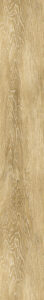 Tangent Sahara Desert T20-611