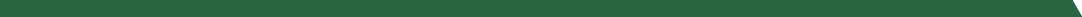 Section Bar Angle Thin_Petrous Green