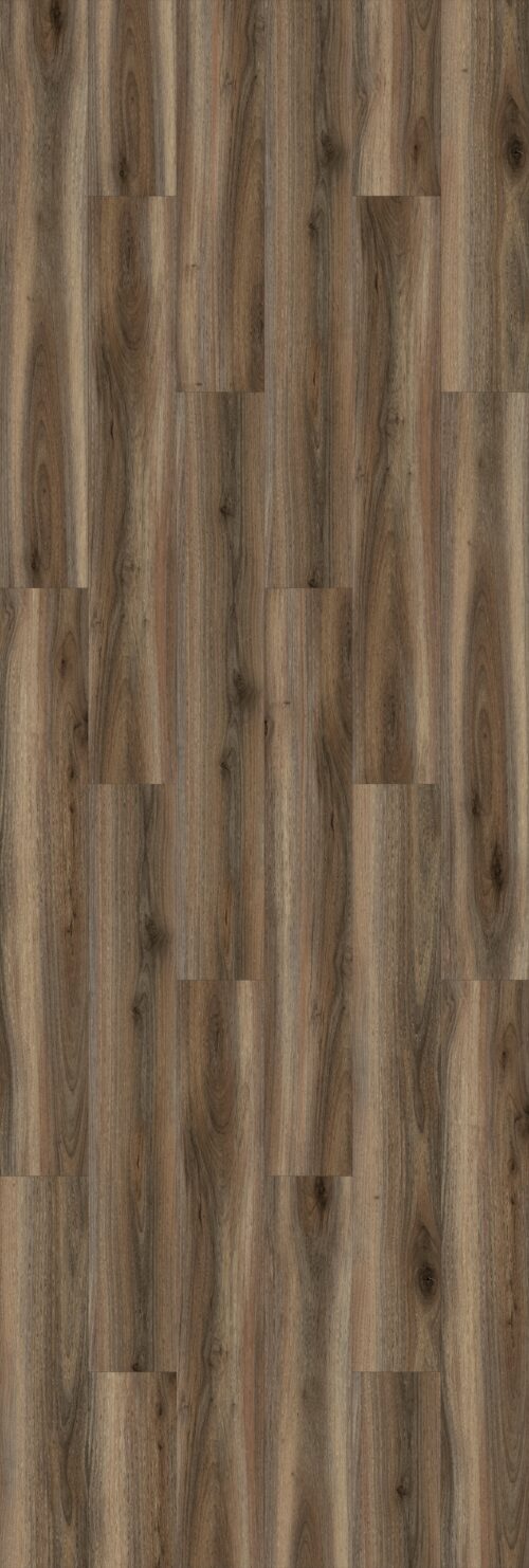 Walnut - Image 2